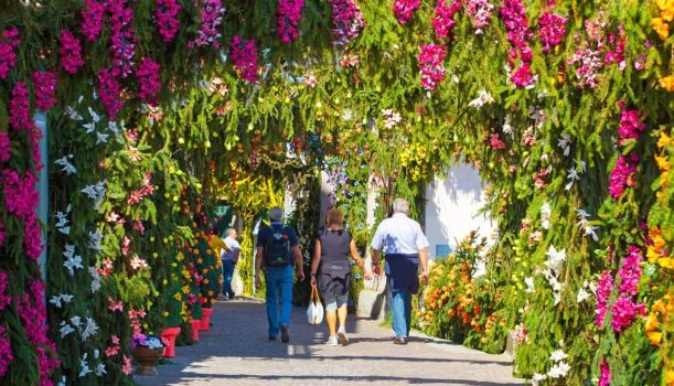 Święto Kwiatów na Monte Isola (Festa dei Fiori)